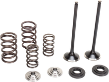 Load image into Gallery viewer, Stainless Exhaust Valve and Spring Kit