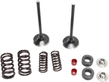 Load image into Gallery viewer, Stainless Intake Valve and Spring Kit