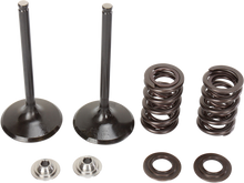 Load image into Gallery viewer, Stainless Intake Valve and Spring Kit