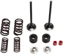 Load image into Gallery viewer, Stainless Exhaust Valve and Spring Kit
