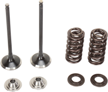 Load image into Gallery viewer, Stainless Exhaust Valve and Spring Kit
