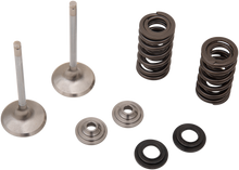 Load image into Gallery viewer, Stainless Exhaust Valve and Spring Kit