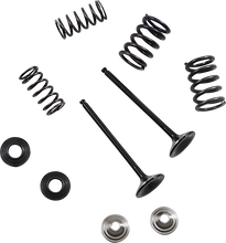 Load image into Gallery viewer, Stainless Exhaust Valve and Spring Kit