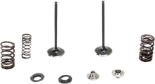 Load image into Gallery viewer, Stainless Intake Valve and Spring Kit