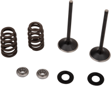 Load image into Gallery viewer, Stainless Exhaust Valve and Spring Kit