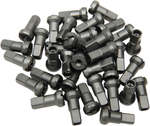 Load image into Gallery viewer, Nipple Set
