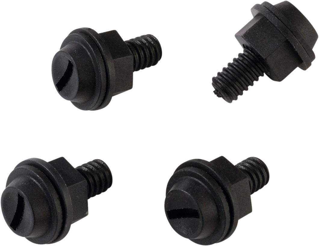 License Plate Bolt Set