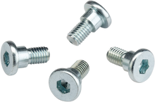 Load image into Gallery viewer, Rotor Bolt Kit
