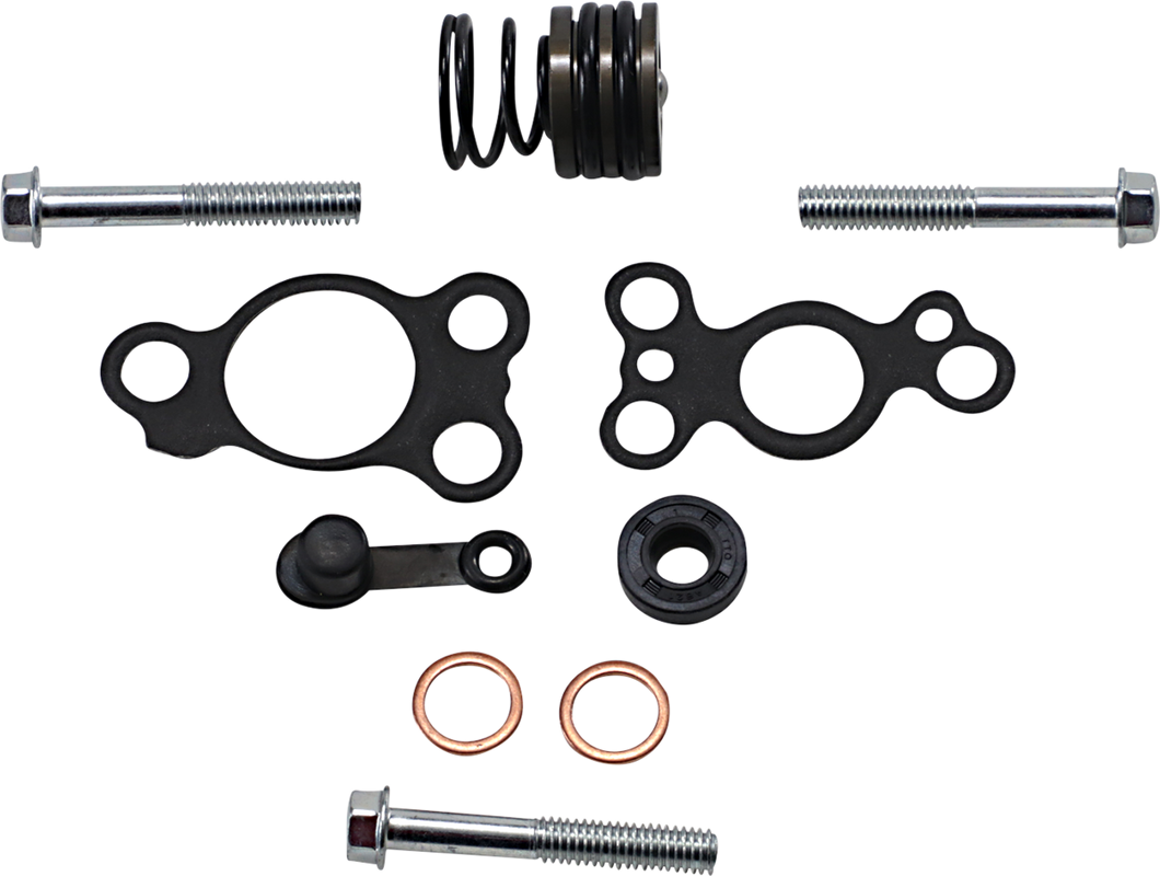 Slave Cylinder Rebuild Kit