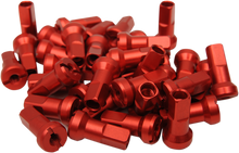 Load image into Gallery viewer, Nipple Set
