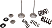 Load image into Gallery viewer, Stainless Intake Valve and Spring Kit
