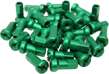 Load image into Gallery viewer, Nipple Set
